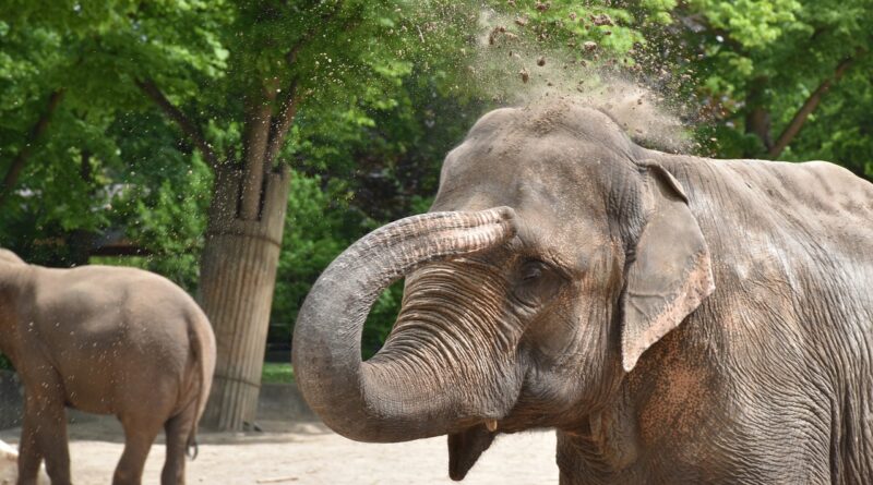 Zoologické zahrady v České republice